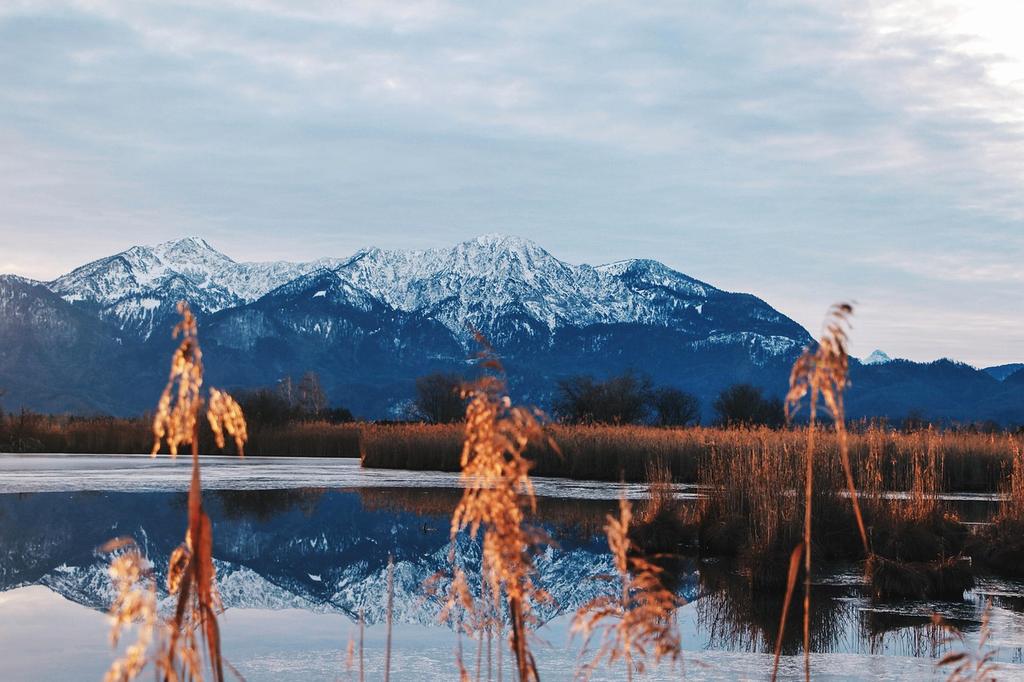 Advanced AI monitoring system in pristine natural environment