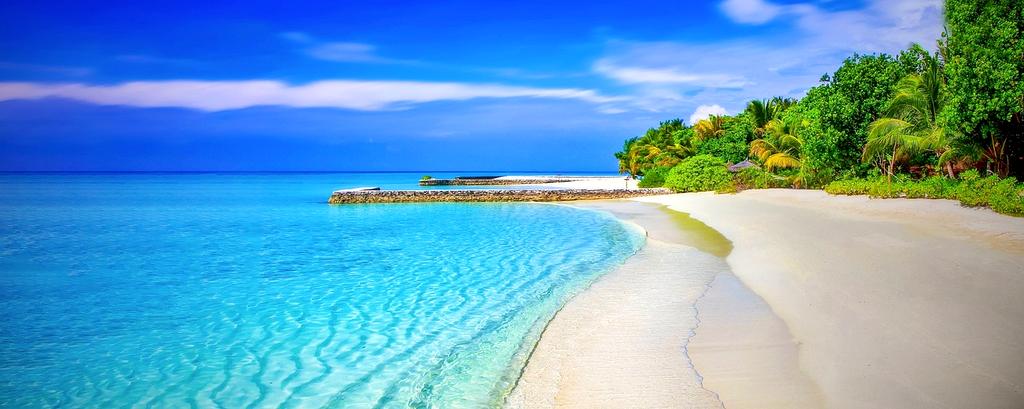 Sunset at a tropical summer beach with palm trees