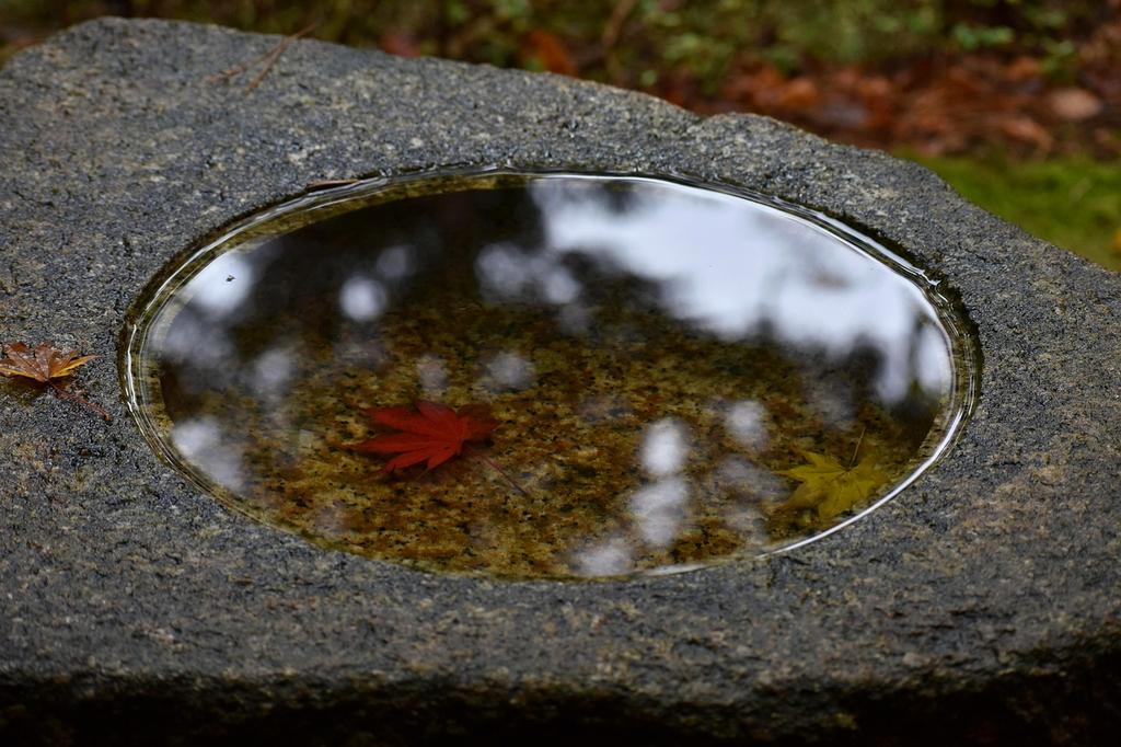 Photo of Emily Chen - Customer Experience Manager