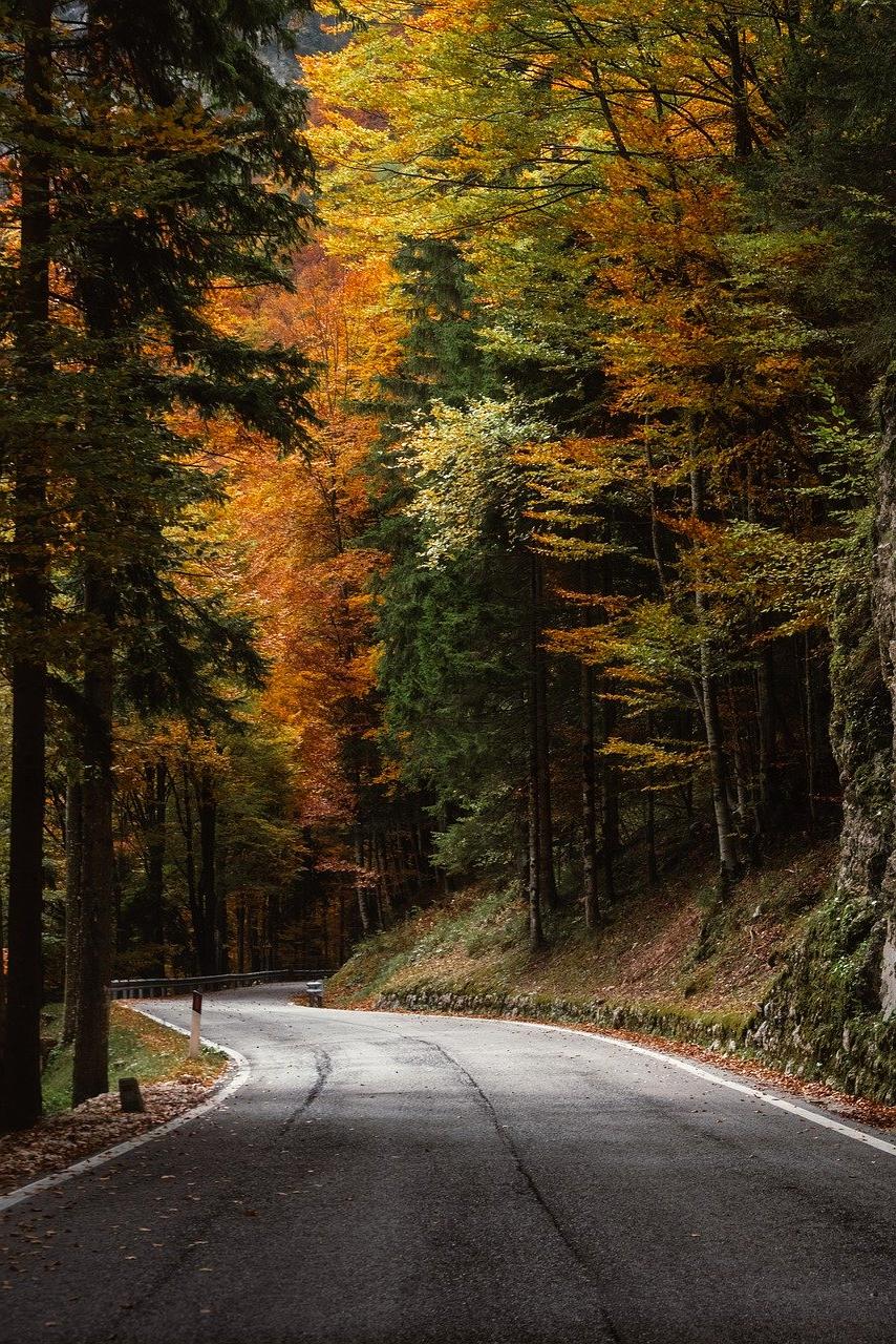 Map showing office location at Keizersgracht 241, Amsterdam