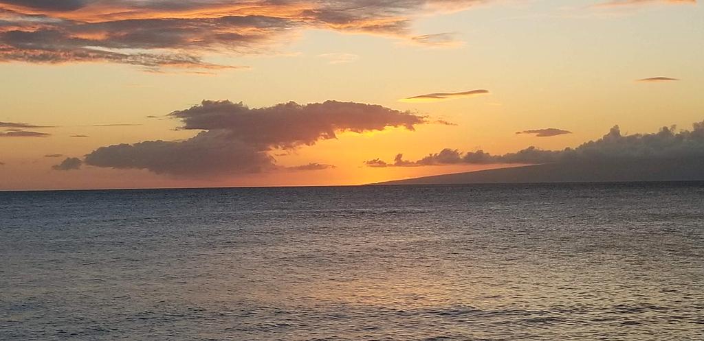 Maui tropical beach with clear turquoise water and palm trees