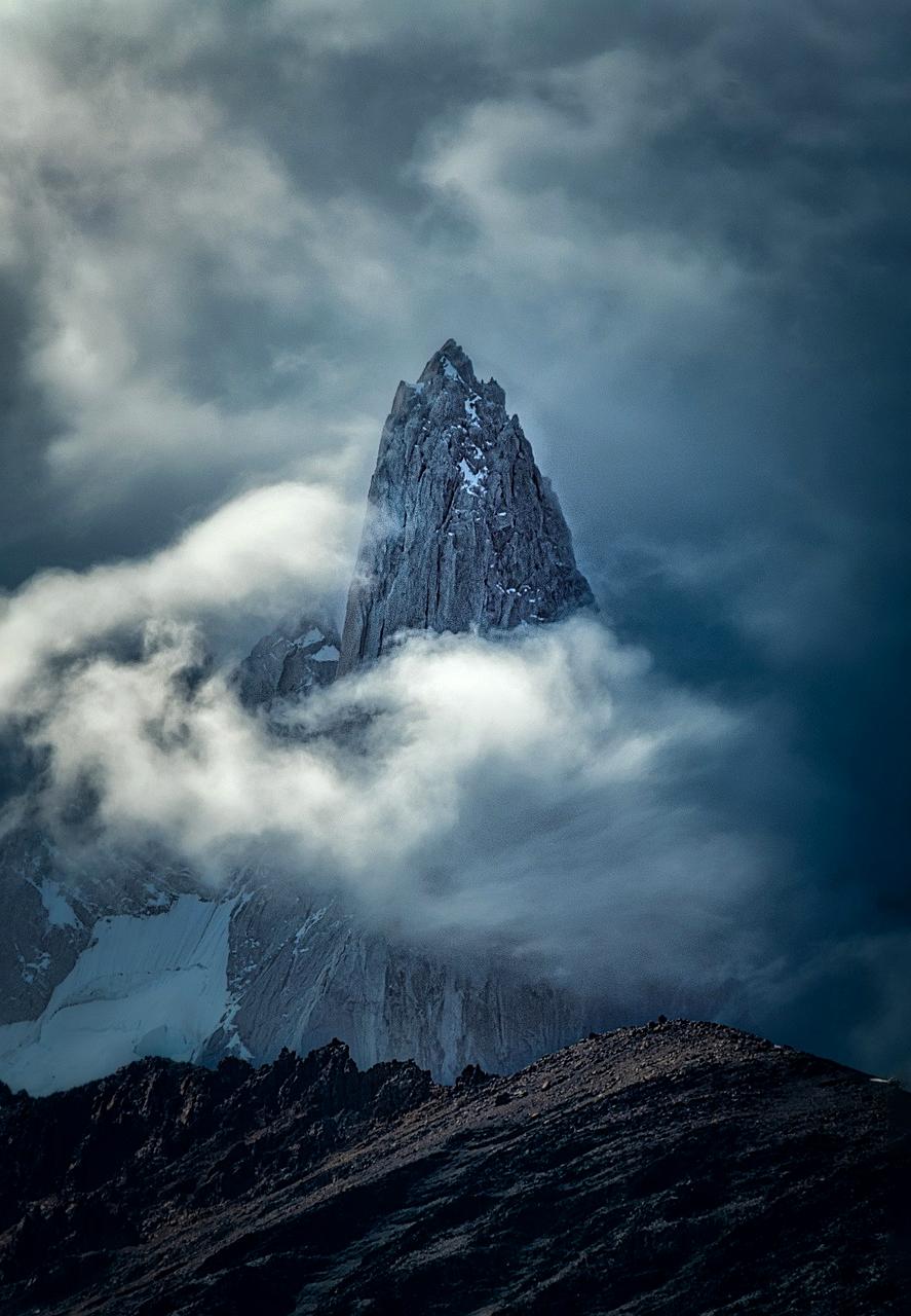 Wildflowers and mountains in Patagonia in spring