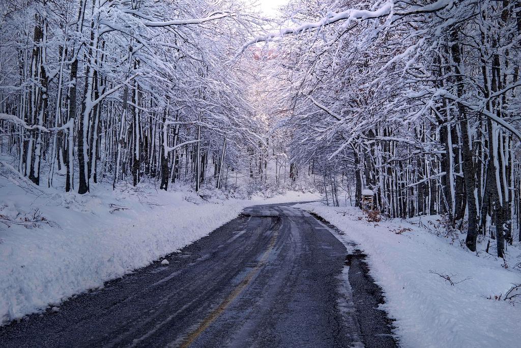 Best price guarantee icon