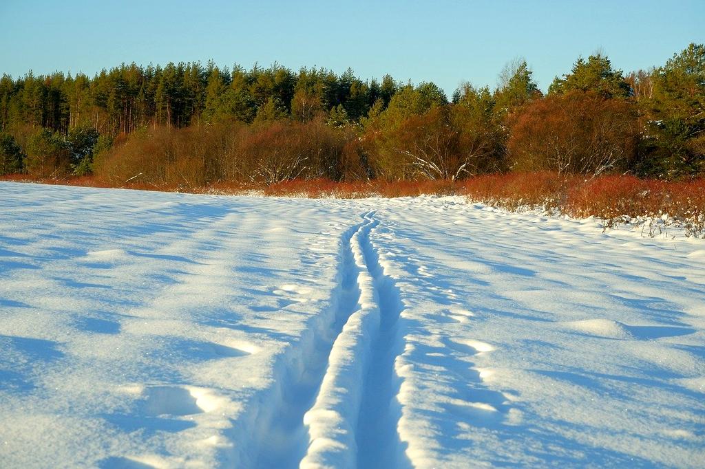 Beautiful seasonal landscape showing different times of year