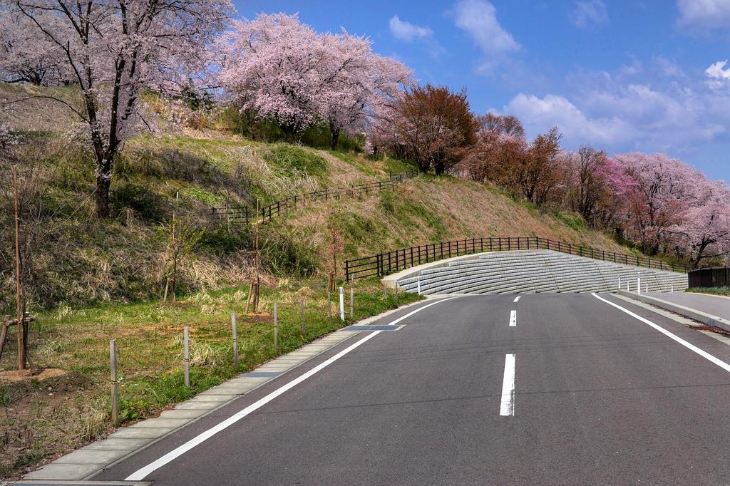 High-speed transport icon