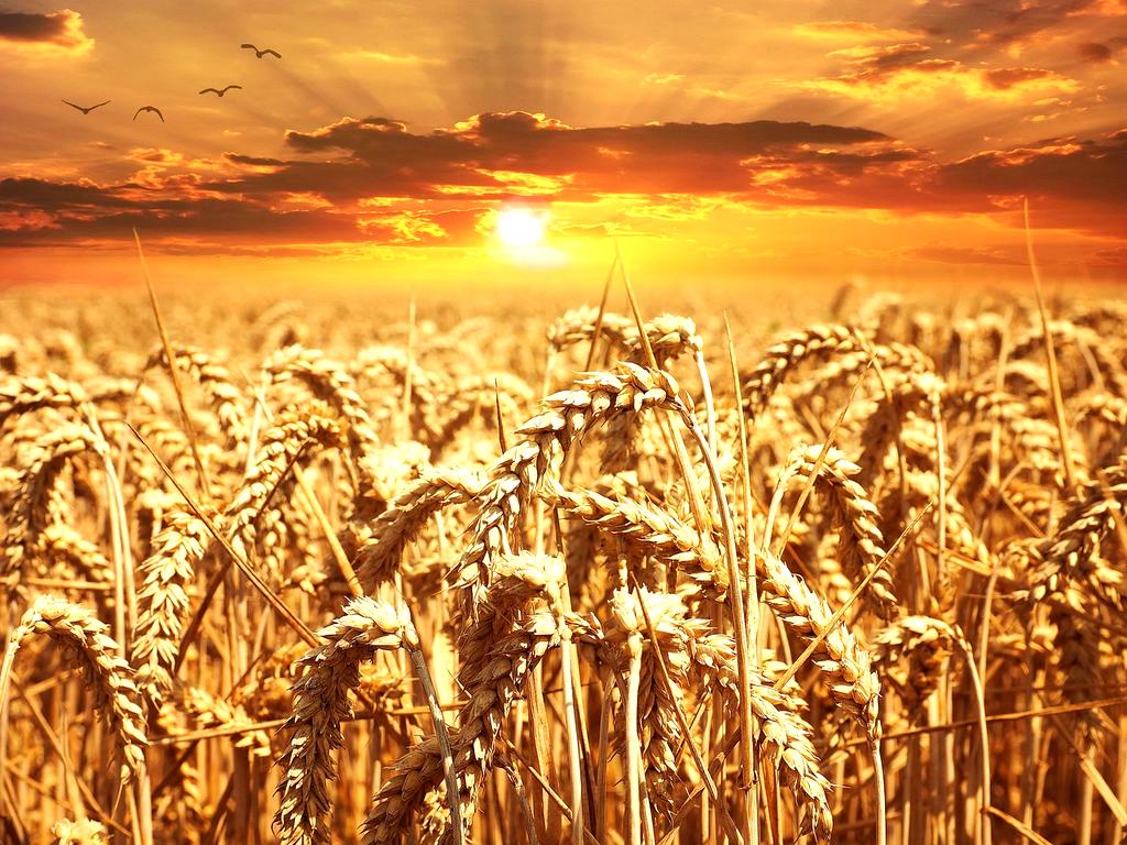 Modern hotel with integrated vertical farming systems